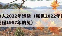 属兔人2022年运势（属兔2022年运势及运程1987年的兔）