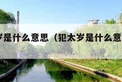 犯太岁是什么意思（犯太岁是什么意思2024年）