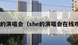 she的演唱会（she的演唱会在线观看）