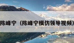 陈峰宁（陈峰宁模仿领导视频）