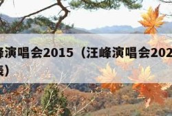 汪峰演唱会2015（汪峰演唱会2023时间表）