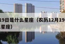 2月19日是什么星座（农历12月19日是什么星座）