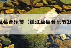 镇江草莓音乐节（镇江草莓音乐节2011节目单）