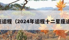 星座运程（2024年运程十二星座运程）