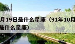 10月19日是什么星座（91年10月19日是什么星座）