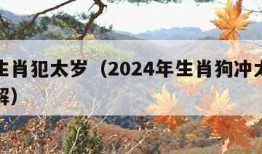 十二生肖犯太岁（2024年生肖狗冲太岁怎么化解）