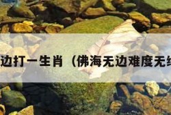 佛海无边打一生肖（佛海无边难度无缘之人）