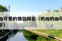 奶凶奶凶可爱的情侣网名（奶凶奶凶可爱情侣网名二字）