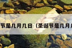 万圣节是几月几日（圣诞节是几月几日）