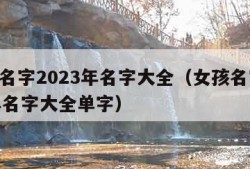 女孩名字2023年名字大全（女孩名字2023年名字大全单字）