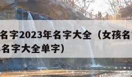 女孩名字2023年名字大全（女孩名字2023年名字大全单字）