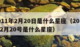 2011年2月20日是什么星座（2011年2月20号是什么星座）