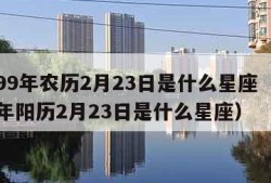 1999年农历2月23日是什么星座（1999年阳历2月23日是什么星座）