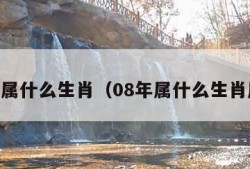 08年属什么生肖（08年属什么生肖属相）