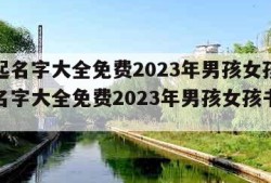 小孩起名字大全免费2023年男孩女孩（小孩起名字大全免费2023年男孩女孩书字开头）