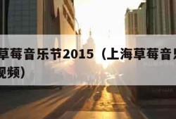 上海草莓音乐节2015（上海草莓音乐节2015视频）