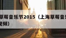 上海草莓音乐节2015（上海草莓音乐节2015视频）