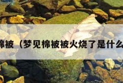 梦见棉被（梦见棉被被火烧了是什么意思）