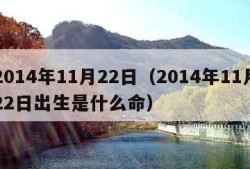 2014年11月22日（2014年11月22日出生是什么命）