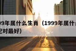 1999年属什么生肖（1999年属什么生肖配对最好）