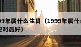 1999年属什么生肖（1999年属什么生肖配对最好）