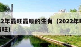 2022年最旺最顺的生肖（2022年哪些生肖旺）