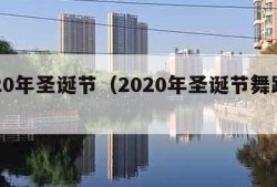 2020年圣诞节（2020年圣诞节舞蹈视频）