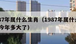 1987年属什么生肖（1987年属什么生肖 今年多大了）