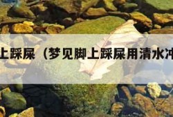 梦见脚上踩屎（梦见脚上踩屎用清水冲干净了）