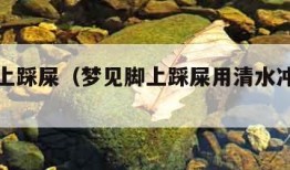 梦见脚上踩屎（梦见脚上踩屎用清水冲干净了）