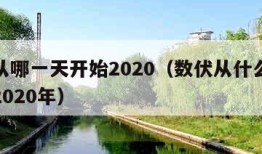 数伏从哪一天开始2020（数伏从什么时候开始2020年）