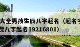 起名字大全男孩生辰八字起名（起名字男孩2020免费八字起名19216801）