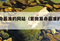 紫微算命最准的网站（紫微算命最准的网站取名）