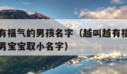 越叫越有福气的男孩名字（越叫越有福气的男孩名字男宝宝取小名字）