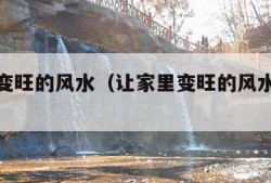 让家里变旺的风水（让家里变旺的风水门口摆什么）