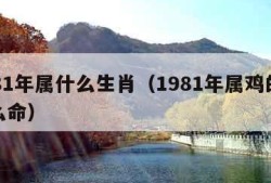 1981年属什么生肖（1981年属鸡的是什么命）