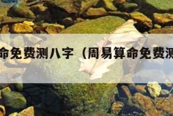 周易算命免费测八字（周易算命免费测八字官网）