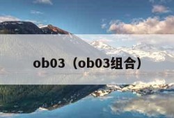 ob03（ob03组合）