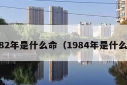 1982年是什么命（1984年是什么命）