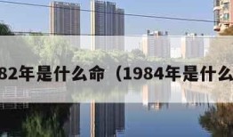 1982年是什么命（1984年是什么命）