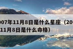 2007年11月8日是什么星座（2007年11月8日是什么命格）