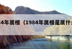 1984年属相（1984年属相是属什么的）