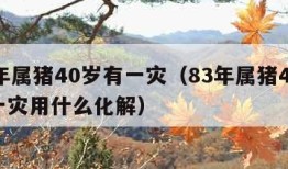 83年属猪40岁有一灾（83年属猪40岁有一灾用什么化解）