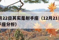 12月22日其实是射手座（12月21日的射手座分析）