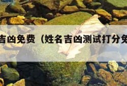 姓名测吉凶免费（姓名吉凶测试打分免费测试打分）