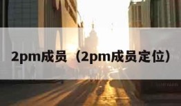 2pm成员（2pm成员定位）