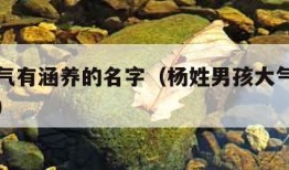 男孩大气有涵养的名字（杨姓男孩大气有涵养的名字）