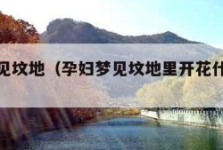 孕妇梦见坟地（孕妇梦见坟地里开花什么意思）