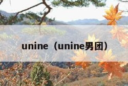 unine（unine男团）