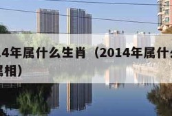 2014年属什么生肖（2014年属什么生肖属相）